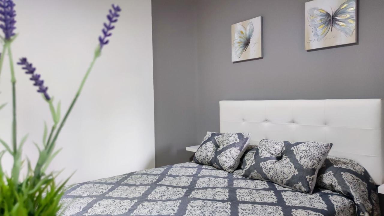 Apartmán Os Reloxos II Mondariz-Balneario Exteriér fotografie